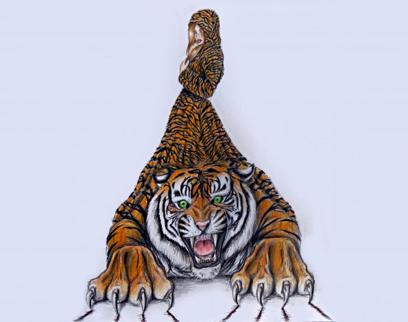 Обои картинки фото рисованное, комиксы, девушка, фон, тигр, плащ
