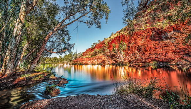 Обои картинки фото природа, реки, озера, лес, река