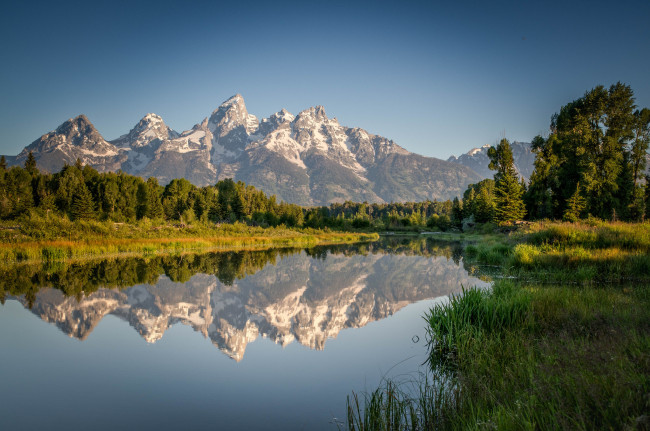 Обои картинки фото природа, реки, озера, лес, река