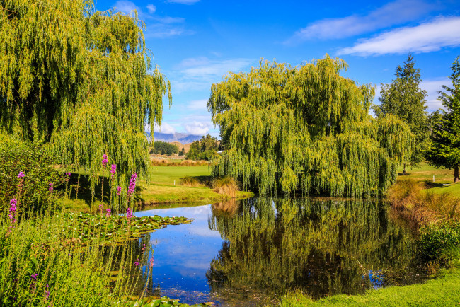 Обои картинки фото природа, реки, озера, лес, река