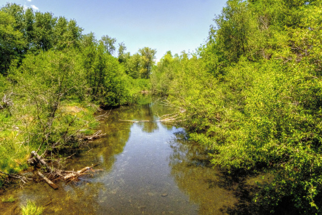 Обои картинки фото природа, реки, озера, лес, река