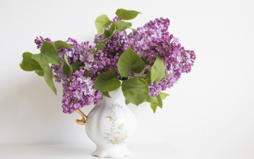 Картинка цветы сирень букет ваза