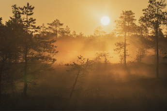 Картинка природа восходы закаты простор