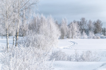 Картинка природа зима простор