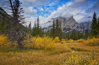 Картинка природа горы простор