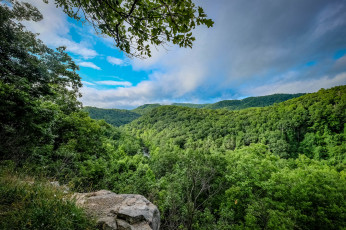 Картинка природа пейзажи простор