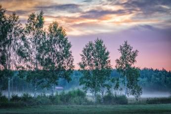 Картинка природа пейзажи простор