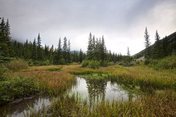 Картинка природа реки озера простор