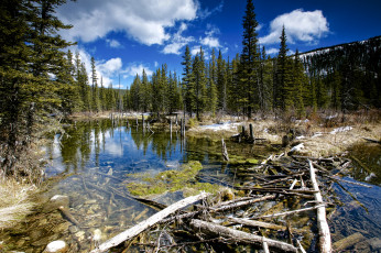 Картинка природа реки озера простор