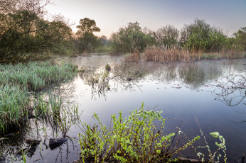 Картинка природа реки озера простор