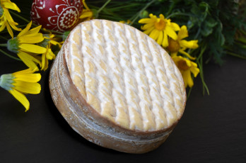 Картинка еда сырные+изделия сыр