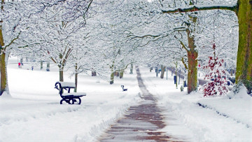 Картинка природа зима снег