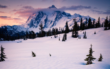 Картинка природа зима снег