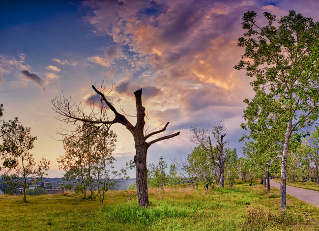 Обои картинки фото природа, пейзажи, простор