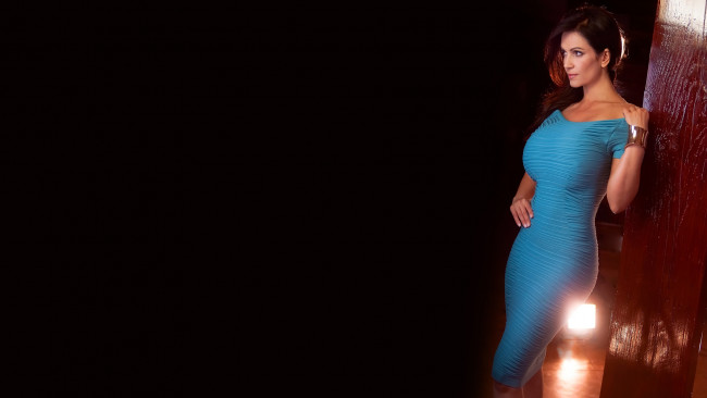 Обои картинки фото девушка, девушки, denise milani, модель