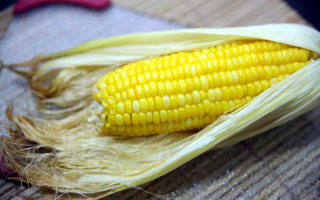 Обои картинки фото еда, кукуруза, початок