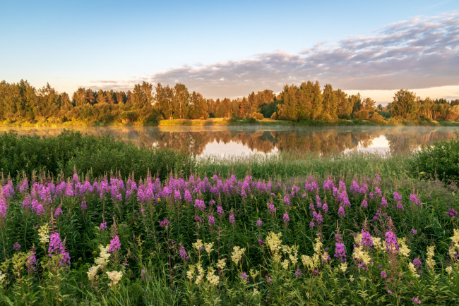 Обои картинки фото природа, луга, простор