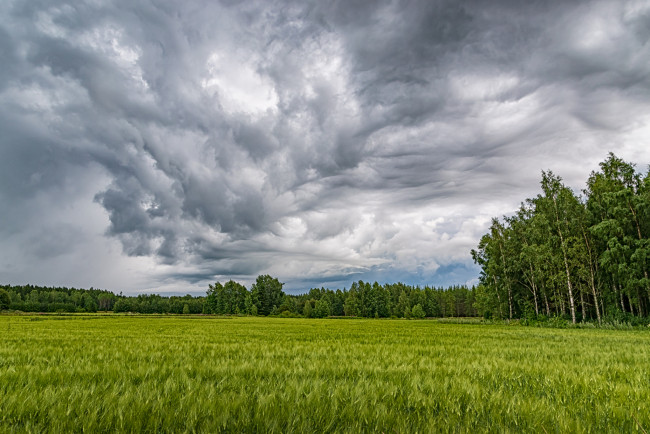 Обои картинки фото природа, поля, простор