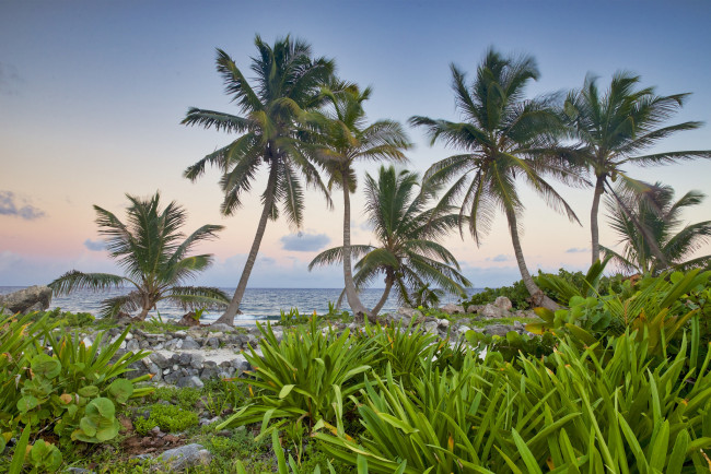 Обои картинки фото природа, тропики, простор