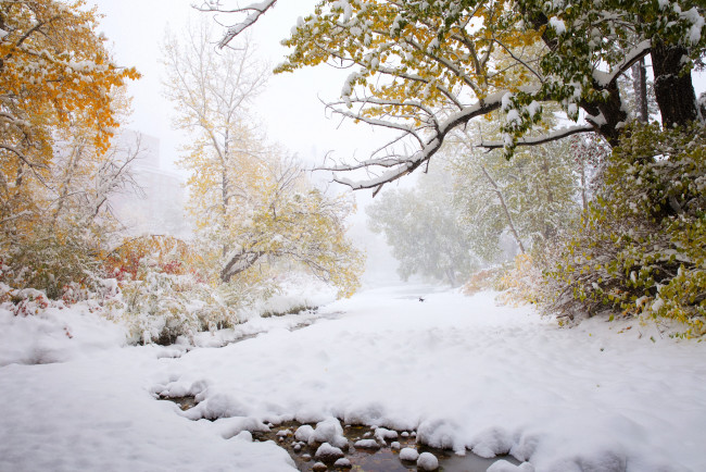 Обои картинки фото природа, зима, простор