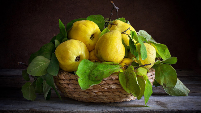 Обои картинки фото еда, фрукты,  ягоды, айва