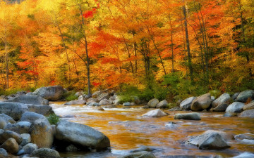 Картинка природа реки озера лес река камни осень