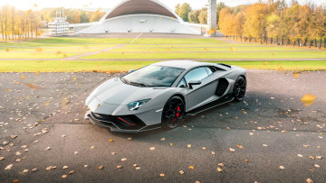 обоя автомобили, lamborghini, серебристый, площадка, лужайка, здания, лес, осень