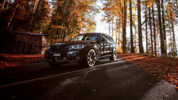 обоя bmw x3 m competition line 2019, автомобили, bmw, черный, дорога, деревья, лес, листья, дрова, осень