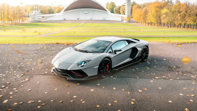 Обои картинки фото автомобили, lamborghini, серебристый, площадка, лужайка, здания, лес, осень