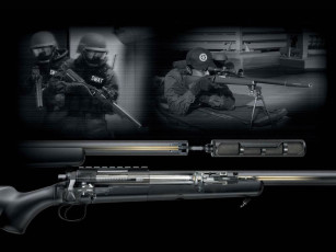 обоя оружие, винтовкиружьямушкетывинчестеры