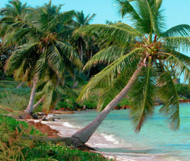 Картинка природа