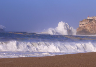 Картинка природа