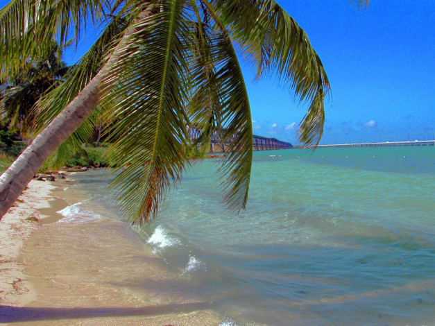 Обои картинки фото природа