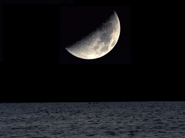 Обои картинки фото разное