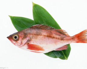 Картинка морепродукты еда рыба суши роллы