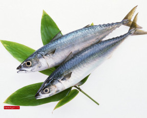 Картинка морепродукты еда рыба суши роллы