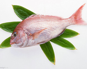 Картинка морепродукты еда рыба суши роллы