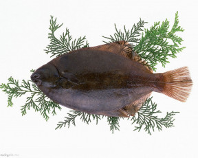 Картинка морепродукты еда рыба суши роллы