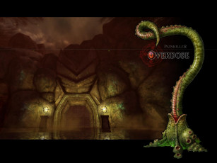 Картинка painkiller overdose видео игры