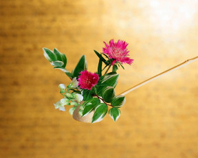 Картинка цветы разные вместе