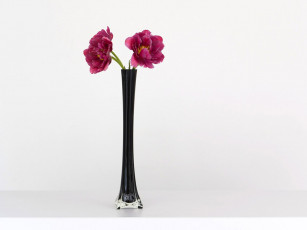 Картинка цветы пионы