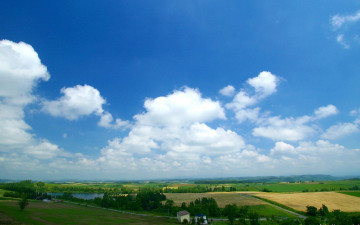 Картинка природа