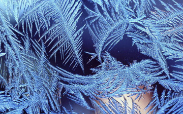 Картинка природа макро