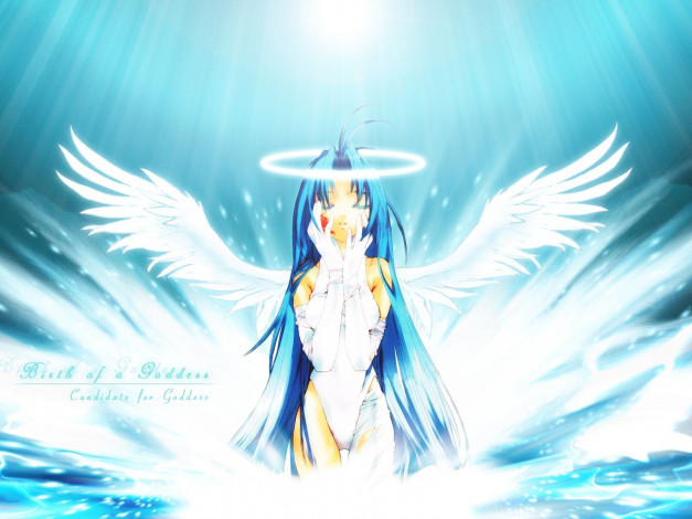 Обои картинки фото аниме, megami, kouhosei