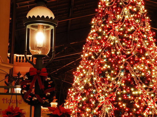 Обои картинки фото праздничные, Ёлки