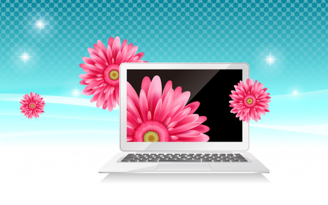 Обои картинки фото векторная, графика