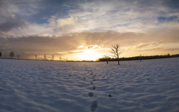 Картинка природа зима