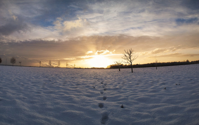 Обои картинки фото природа, зима