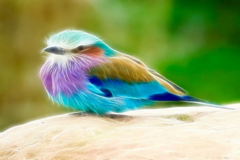 Картинка 3д графика animals животные фрактал