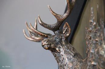 Картинка разное рельефы статуи музейные экспонаты рога